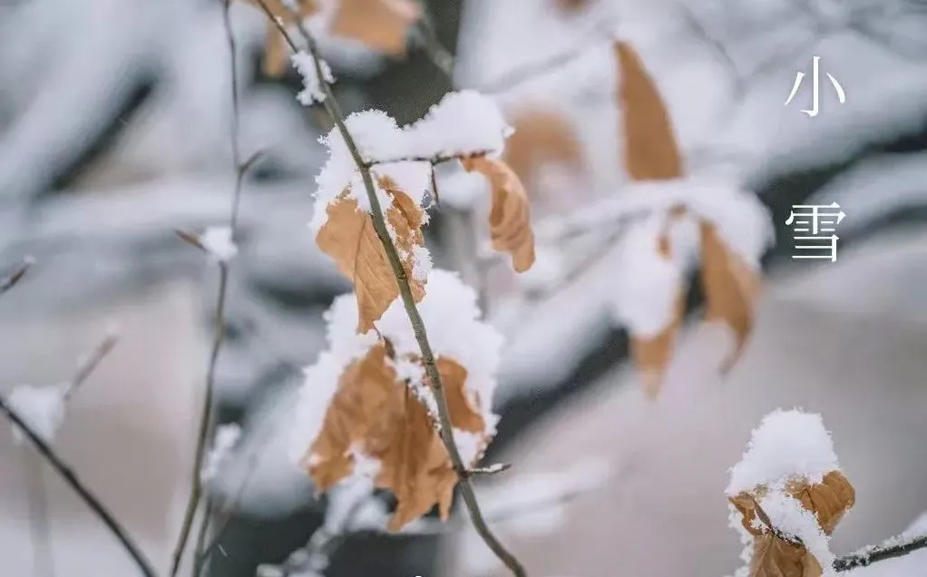 Snow Minuri - X'Għandek Taf