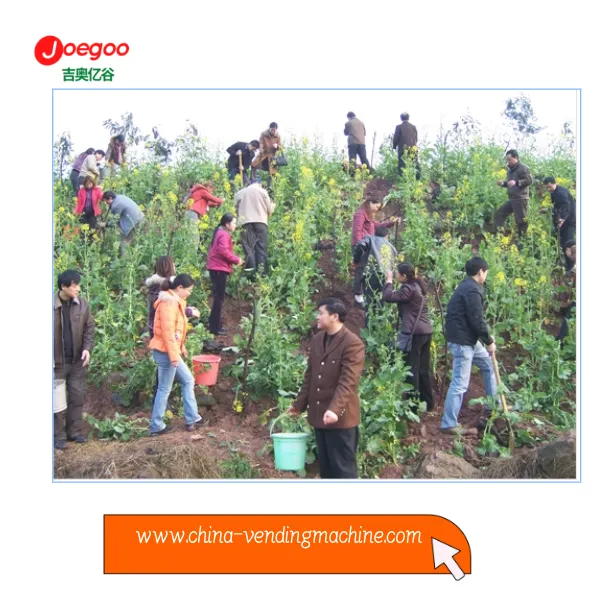 Dipartiment tal-Esportazzjoni tal-Kumpanija Jeogoo Organizza Attività Volonta...